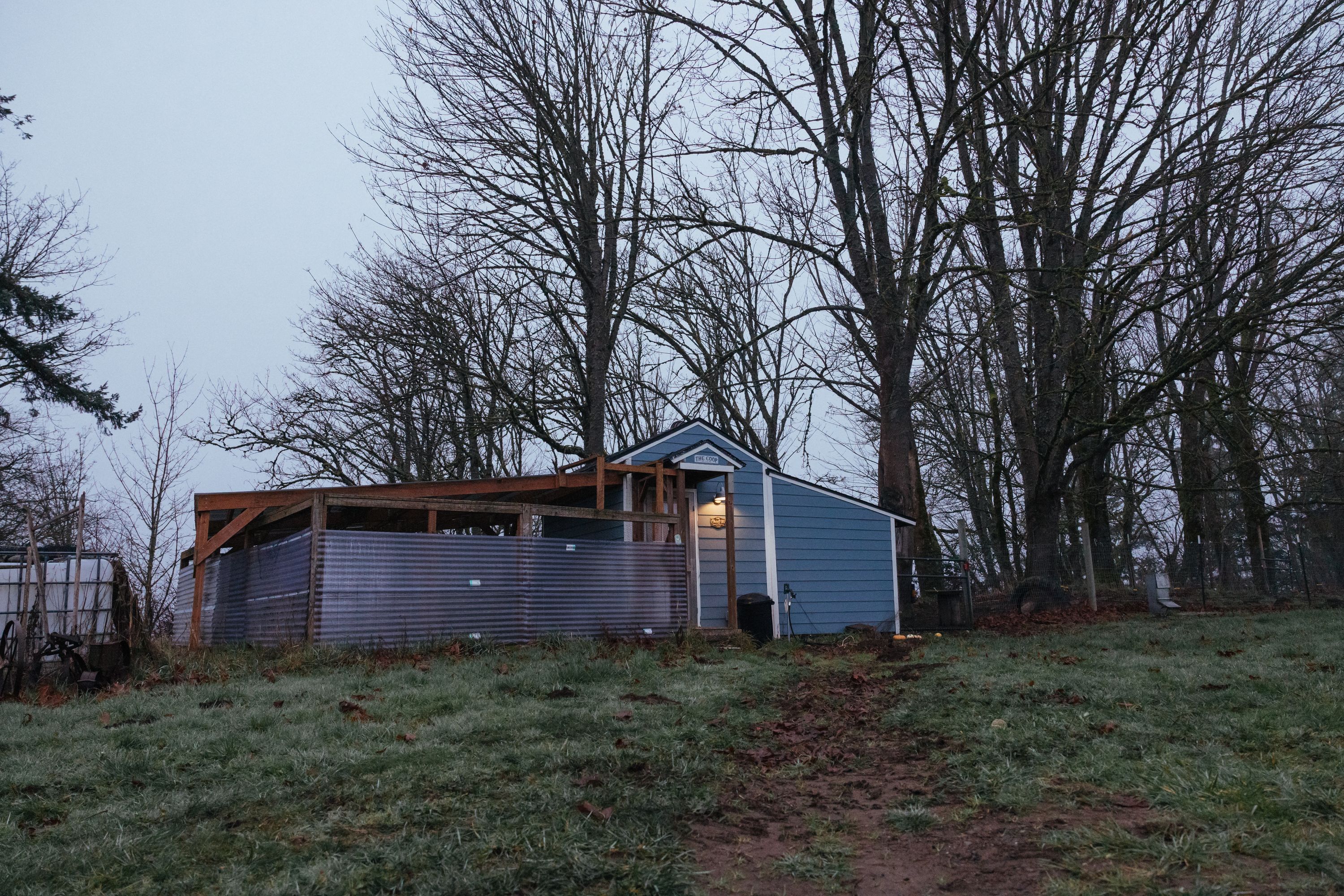 Coop at dawn
